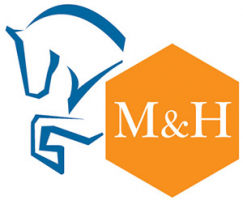 Money Horse Logistics Ltd Money Horse Logistics Ltd