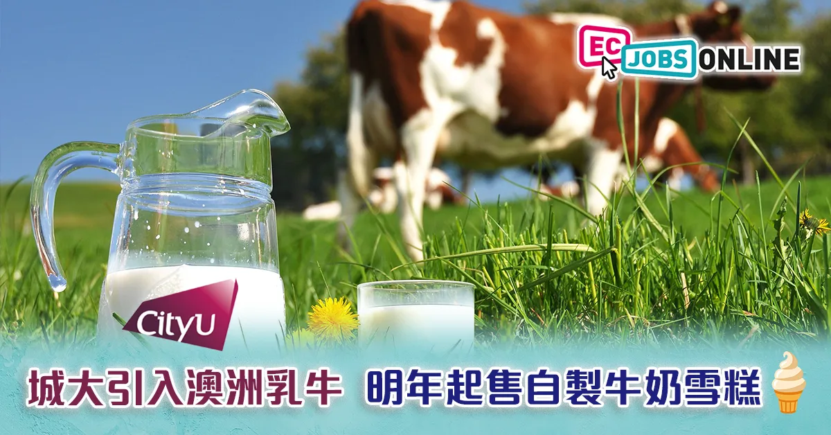 【全港首創】城大引入澳洲乳牛  明年起售自製牛奶雪糕