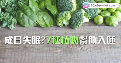 ​【失眠救星】成日失眠？7種植物幫助入睡
