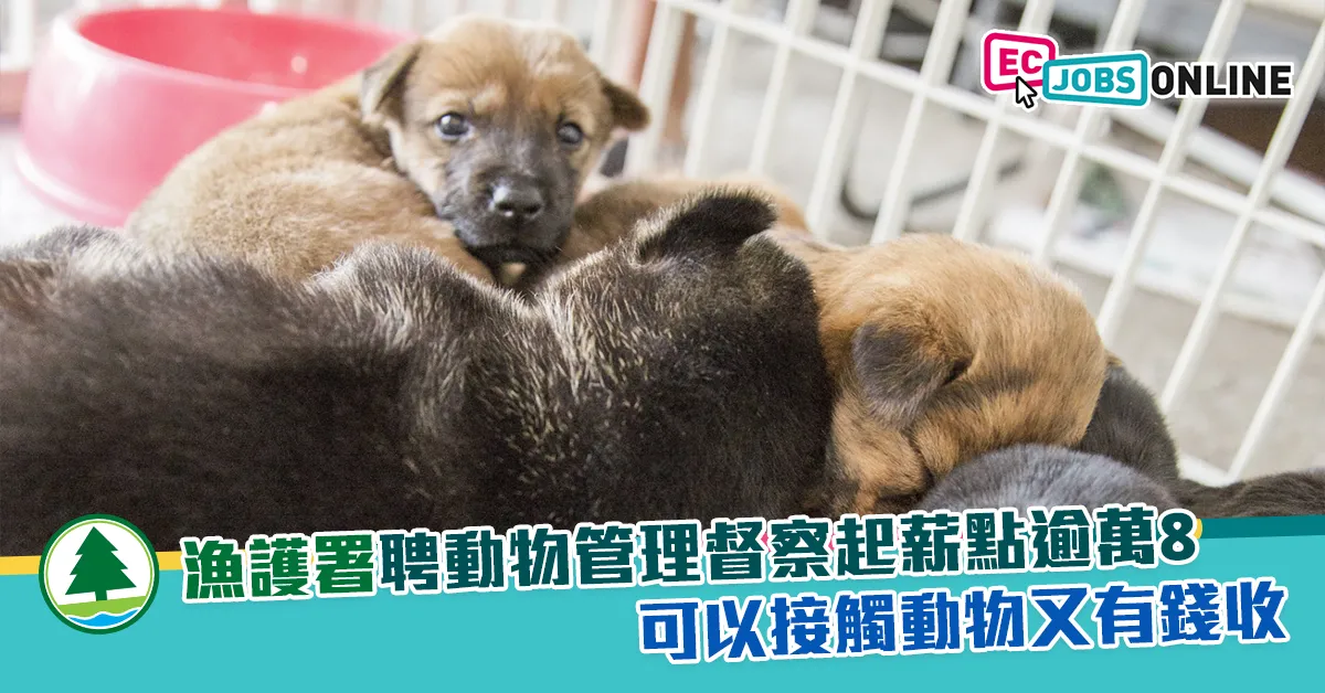 ​【政府筍工】漁護署聘動物管理督察起薪點逾萬8  可以接觸動物又有錢收